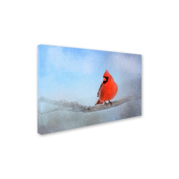 Jai Johnson 'Cardinal In The Snow' Canvas Art,16x24